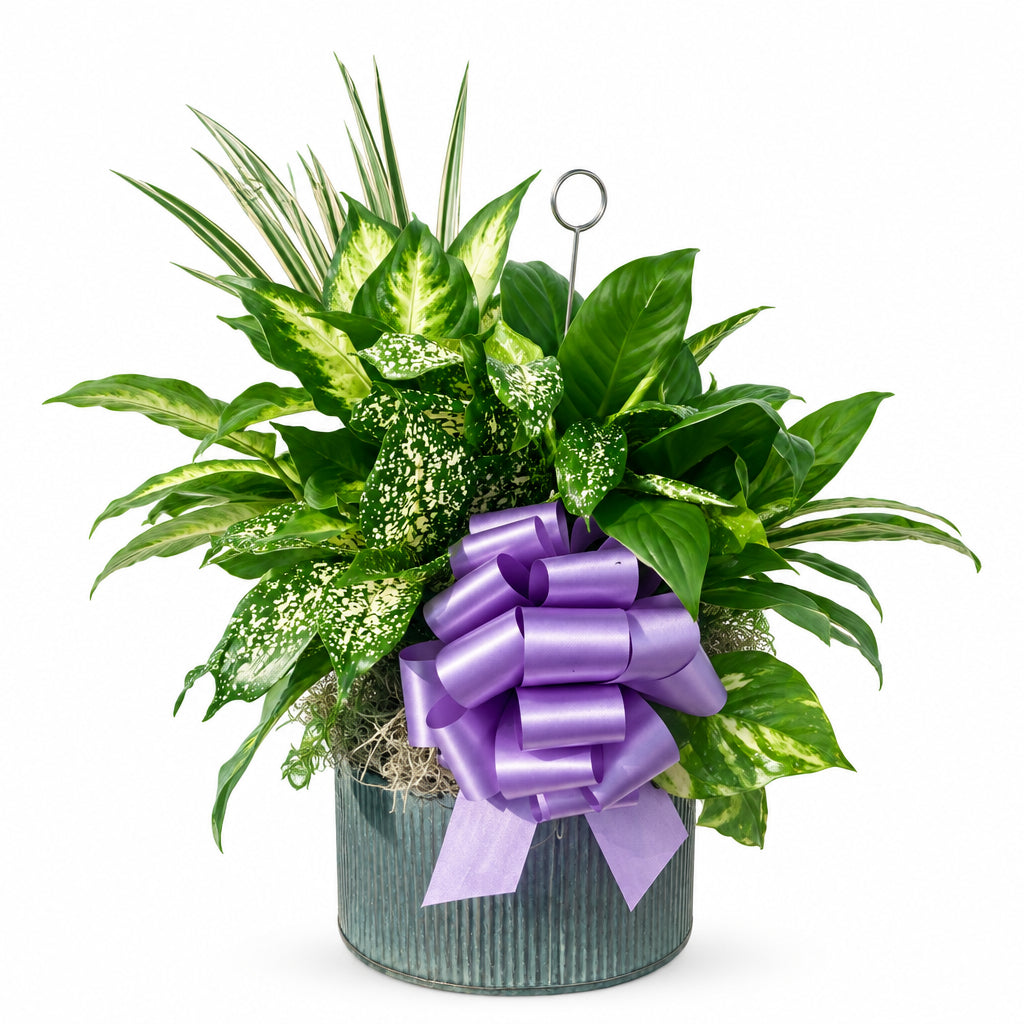 Brown plant arrangement – Lakeside Greens by Gris Glam