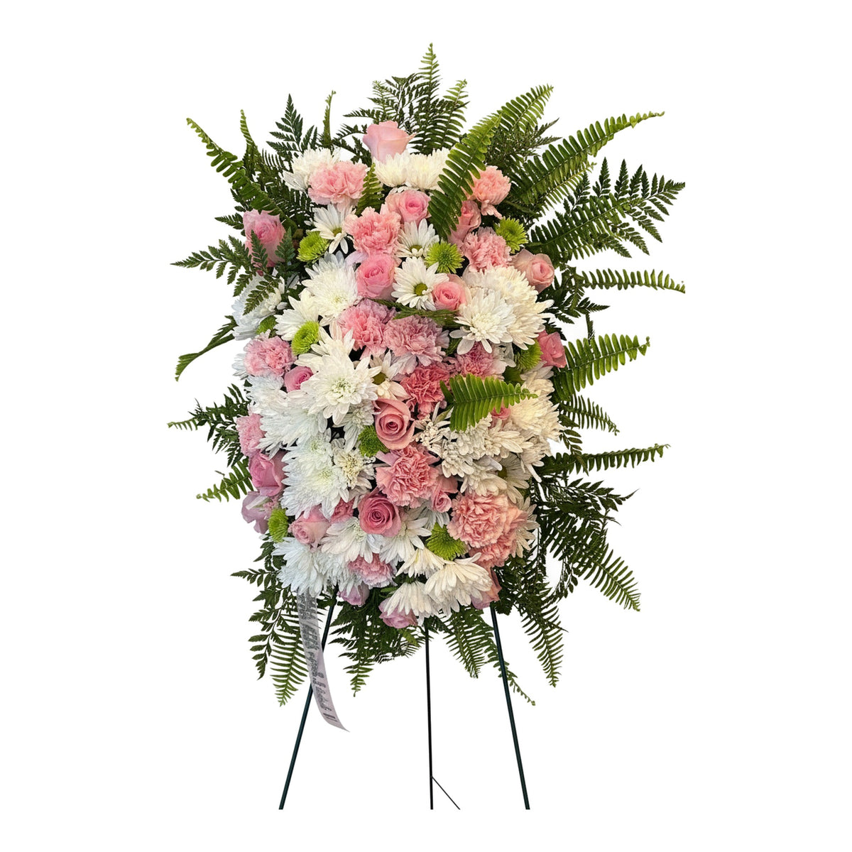 Blush and Bloom